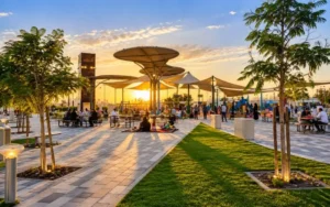 Dining and Food Options